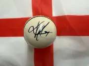 Kevin Pietersen (England) signed White Autograph Cricket Ball + COA