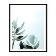 Cool Nature Framed Printed Wall Art - Black