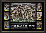 RICHMOND TIGERS 2019 AFL PREMIERS FRAMED - DUSTIN MARTIN, TRENT COTCHIN AND MORE