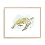 Artey | Watercolor Sea Turtle Study I - Framed Print - Natural Frame - 80 x 95cm