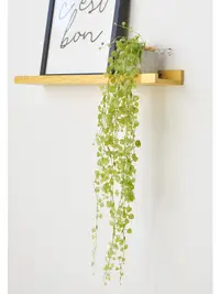 在飛比找松果購物優惠-北歐風格 仿真垂吊植物盆栽 塑膠老人松 裝飾書架置物架 吊蘭