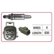 RAE Oxygen Sensor - OX626