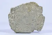 Meteorite NWA 6273 - Eucrite - found 2010 in NW Africa - part slice - 25.8 g