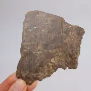 37g Chondrite Meteorite Slice,NWA unclassified Meteorite, From Northwest AB158