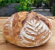 Sourdough Starter Dehydrated Sour Tasty San Francisco - 15 Gram Bag