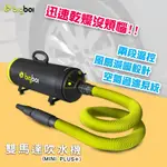 BIGBOI 寵物乾燥吹風機 MINI PLUS+ 吹水機 乾燥吹風機 寵物美容 寵物吹毛 寵物吹水機 【澳洲原廠貨】