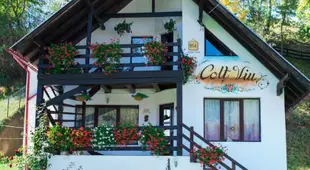 Colt Viu Chalet