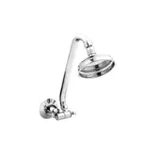 LW Noosa Brass Chrome Gooseneck Round Wall Arm Shower