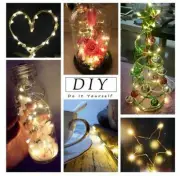 2M 20led Battery Powered Copper Wire String Christmas Fairy Party Lights LocalAU