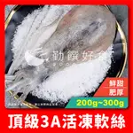 【勤饌好食】 3A 活凍 軟絲 (200G-300G±10%/尾)冷凍 海鮮 軟翅仔 軟絲仔 熱炒 M1E1