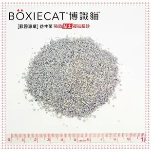 BOXIECAT 美國博識貓 強效黏土凝結貓砂 16磅(7.26公斤) 黏土凝結貓砂 無粉塵 獸醫推薦【宅配限3包】