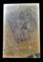 40K Game Board Kill Team Sector FRONTERIS + Sector SANCTORIS 22"x30" Warhammer