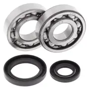 Fits 1988 Suzuki RM250 Crank Bearing & Seal Kit All Balls 24-1017