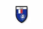 PATCH PATCHES EMBLEM IRON ON GLUE PRINT FLAG world crest taaf antartica