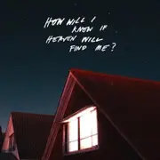 The Amazons How Will I Know If Heaven Will Vinyl