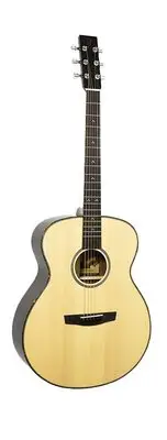 在飛比找Yahoo!奇摩拍賣優惠-【金聲樂器】Lee Guitar S30 慎始 李吉他【歡迎