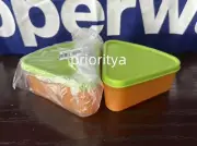 Tupperware 200ml Triangle Pie Wedge Snack Cup Container Orange Green Set 2 New