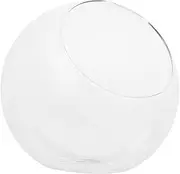 ifundom Unique Glass Planter Globe for Hydroponic Plants Mouth DIY Terrarium Clear Decorative Vase for Succulents Air Plants for Home Office Decor Micro Landscape Container