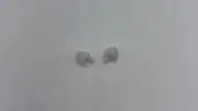 GP48 - Greenhills White Wing Mirror Pair for Scalextric Jaguar XJ8-1.32 Scale - NEW