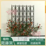 【開立發票】柵欄花架爬藤架月季花支架戶外庭院植物網格屏風隔斷藤架牆面架子