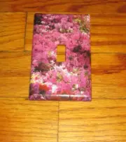 AZALEA FLOWERS Light Switch Cover Plate