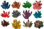 Spotted Guinea Hen Feathers Body Plumage 1-4" 11 colors available 1/4 oz bag