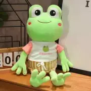 Creative Fun Cartoon Big Eyes Frog Plush Doll Pillow Long Leg Frog Plush 50cm B