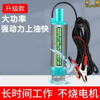 在飛比找露天拍賣優惠-德國品質電動抽油泵抽油神器12V24V柴油加油機小型抽水泵浦