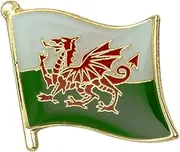 [Panda Loco Pins] Wales Dragon Welsh Nation Country Flag Lapel Pin Badge by Panda Loco, Multi, One Size