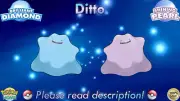 Shiny Non-shiny Ditto Japanese Destiny Knot Pokerus 6IVBD SP (Legal)