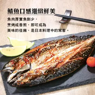 台灣南方澳鹹鯖魚/尾