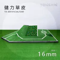 在飛比找蝦皮購物優惠-【TONG XIN】統鑫 健身房專用健力草皮|ARTIFIC