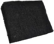 Wagner Spraytech Power Products Flexio 2 Pack Replacement Filter 0529019