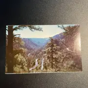 Vintage Postcard Famous Oak Tree Canyon Switchback Road United States B14