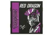 Red Dragon Dart Board Cabinet Deluxe Peter Wright Champion Snakebite Edition