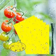 30 Pack Insect Traps Double-Sided Sticky Traps,Yellow Sticky Papers Dual Sticky Fly Traps for Plant Insect Like Fungus Gnat, Whitefly, Aphid, Leaf Miners, Bugs (19.8x15cm, 30pcs Twist Ties)