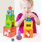 Counting Nesting Boxes Sorting Stacking Toys for 1 2 3 Old