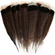 Natural Natural Quill Feathers Feathers Wild Turkey Tails Feathers DIY Crafts