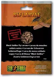 Exo Terra BSF Larvae Vacuum Packed Reptile Food, 0.53 oz