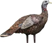 Avian X LCD Lookout Hen Lifelike Collapsible Turkey Gobbler Hunting Decoy W/ Car