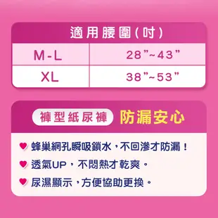 包大人 防漏安心復健褲 XL號 (12片/4包/箱)【杏一】