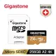 Gigastone microSDXC UHS - I U3 A2 4K 256G記憶卡(五年資料救援)