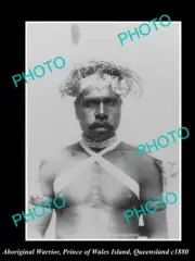 OLD 8x6 HISTORIC PHOTO OF ABORIGINAL WARRIOR FROM PRINCE OF WALES ISLAND c1880