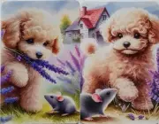Swap cards Modern playing card back Lavender Puppy