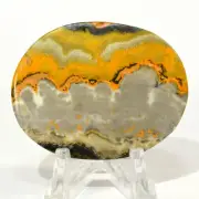 46mm 125ct Bumble Bee Jasper Cabochon Medallion Gemstone Crystal Cab - Indonesia