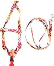 PERSELOSO 1 Set Dog Harness with Long Leash for Small Dogs Lightweight and Stylish Pet Walking Rope for Outdoor Use Fits Chest Weighing