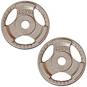 HCE Standard Weight Plates - Cast Iron Adjustable Standard Dumbbell Pair and Premium Quality Hammertone Weights Equipment Accessories for Body Building, Weightlifting, WOD, MMA, CrossFit | 1.25 KG x 2