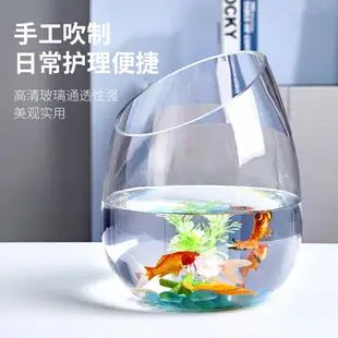 圓形玻璃斜口魚缸水培植物綠蘿水培透明花瓶花盆水培器皿水族花瓶