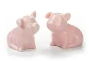 BIA Cordon Bleu Whimsical Porcelain Salt & Pepper Shakers (Pink Pig Shaped Set)