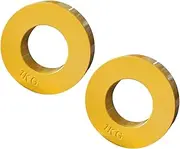 CAQYPVH 2 Pieces Steel Fractionated Plate Microplats Weights